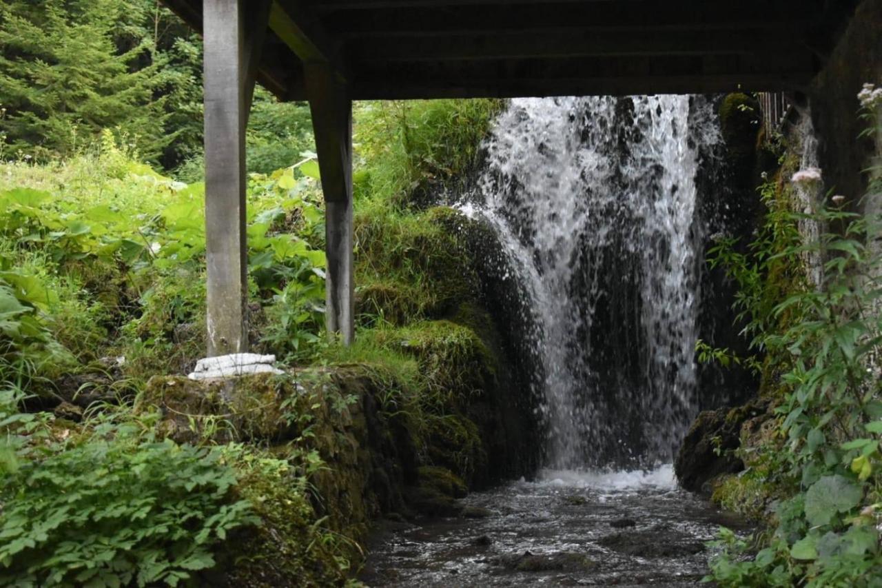 Plitvička Jezera Wooden House With A Waterfall "Stipanov Mlin"ヴィラ エクステリア 写真