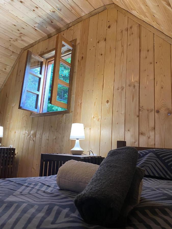 Plitvička Jezera Wooden House With A Waterfall "Stipanov Mlin"ヴィラ エクステリア 写真